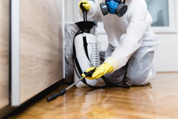 Best Pest Control Treatment  in Cockeysville, MD