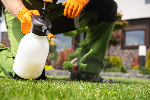 Best Best Pest Control Companies  in Cockeysville, MD