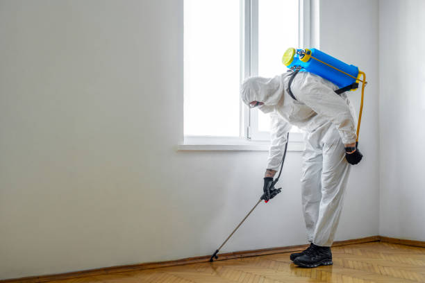 Best Local Pest Control Services  in Cockeysville, MD